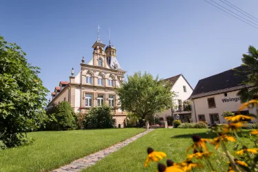 Weingut Estelmann