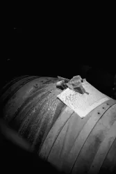 Weingut Berizzi