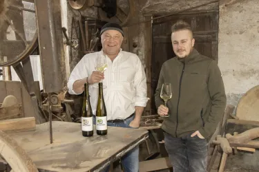 Weingut Wachner