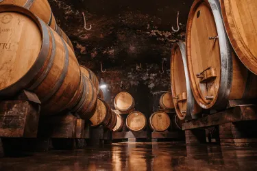 Weingut Petri